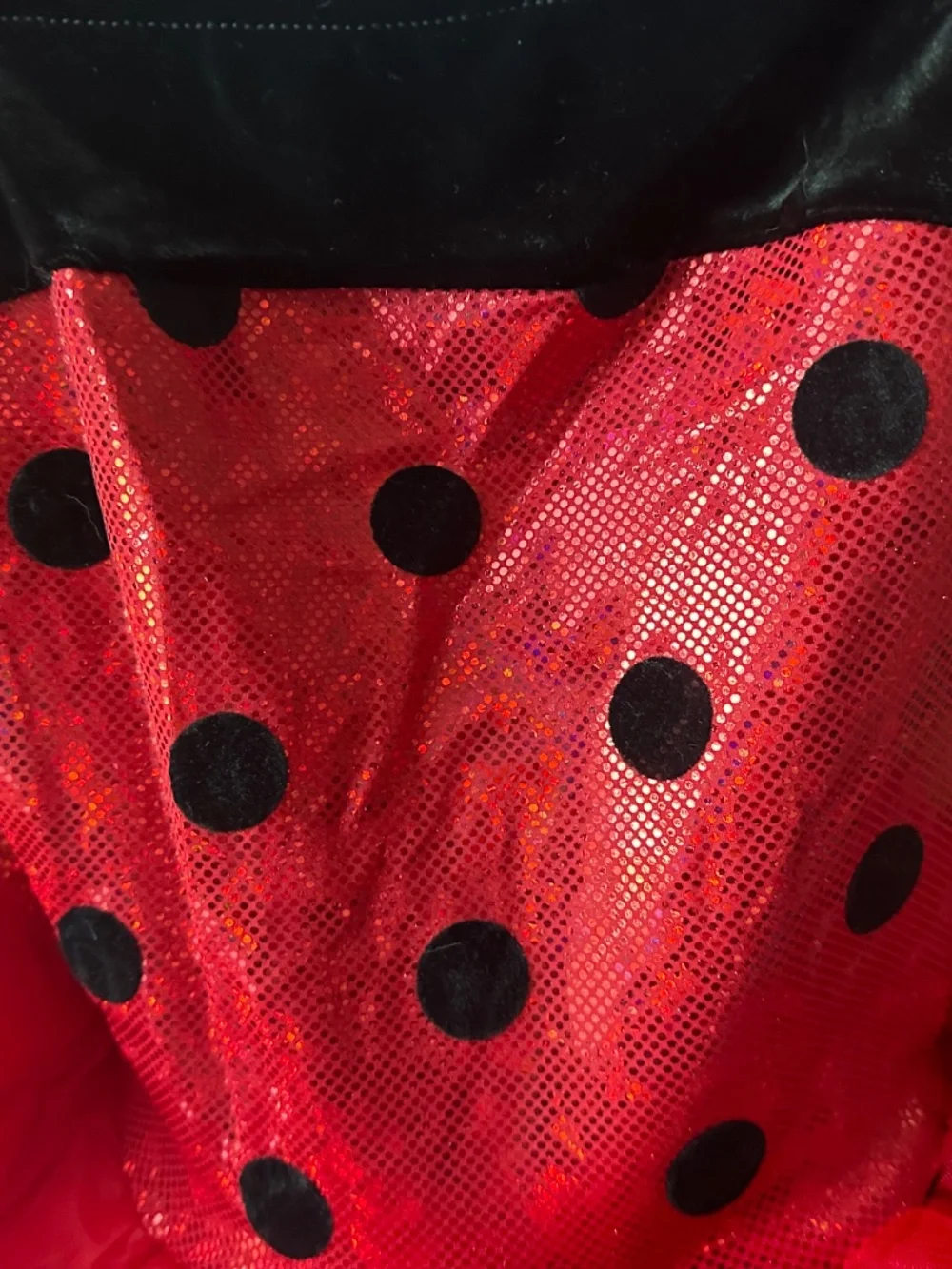 Little Lady Bug Costume or Dance Outfit (5-6yr girls) Small/Medium in childrens.